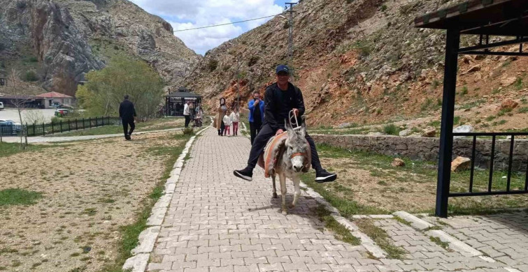 Homurlu'da Eşek Turları Başladı