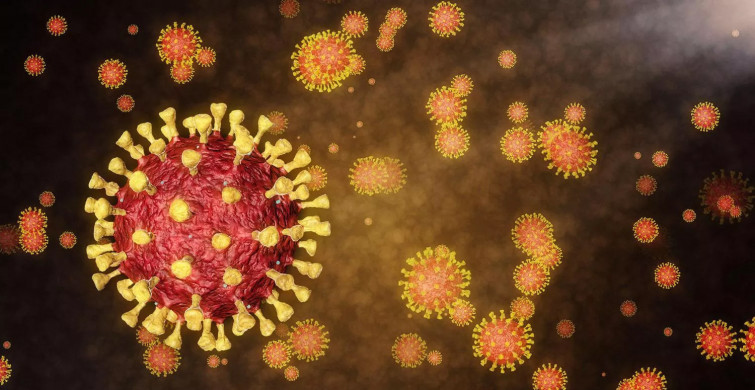 Hong Kong Üniversitesi Tüm Dünyaya Korku Salan Omicron Varyantını İlk Kez Görüntüledi