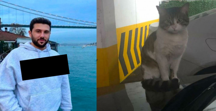 İbrahim Keloğlan kimdir, nereli ve kaç yaşında? İbrahim Keloğlan olayı nedir, neden tutuklanması isteniyor?