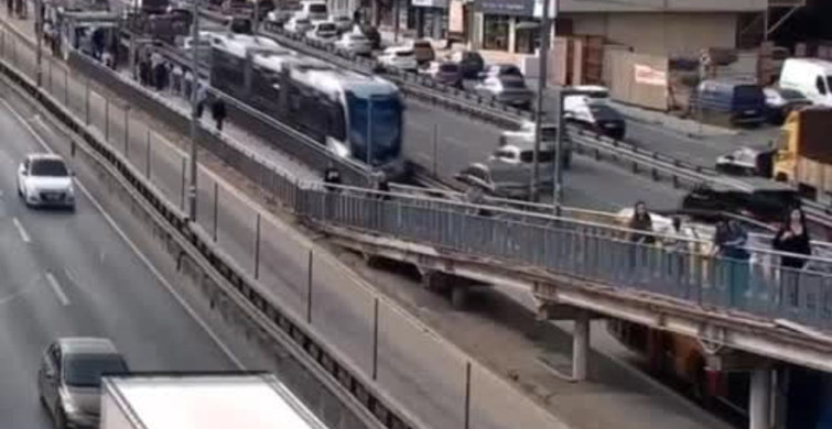 İETT Ekipleri Metrobüs Hattında Yavru Kedileri Kurtardı