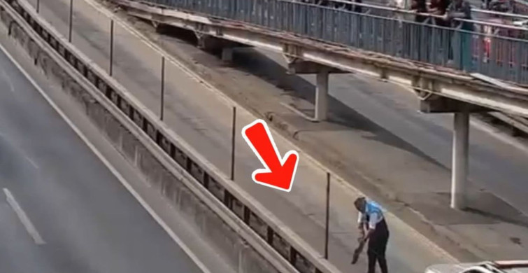 İETT Ekipleri Yavru Kedileri Kurtardı