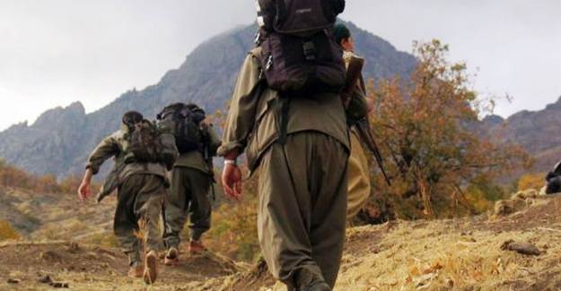 Iğdır'da 1 Terörist İkna Çalışmaları Sonucu Teslim Oldu