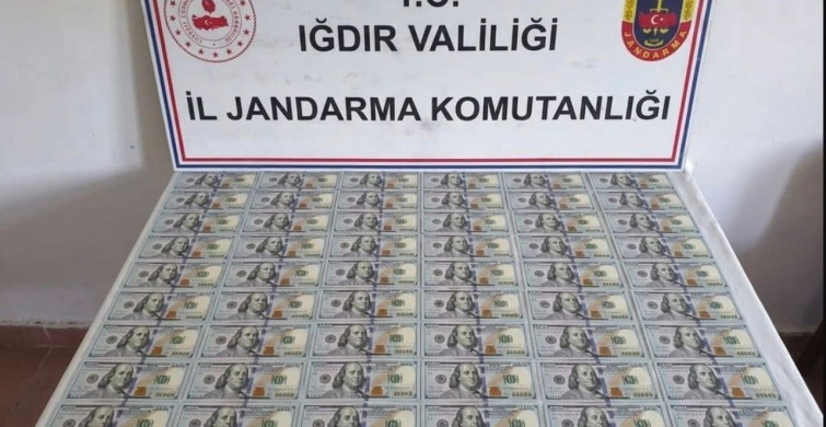 Iğdır'da 10 bin dolar değerinde sahte banknot ele geçirildi