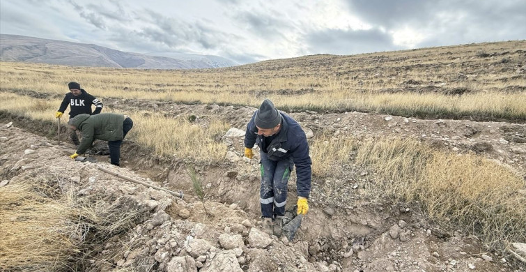 Iğdır'da Ağaçlandırma Hamlesi Başlatıldı