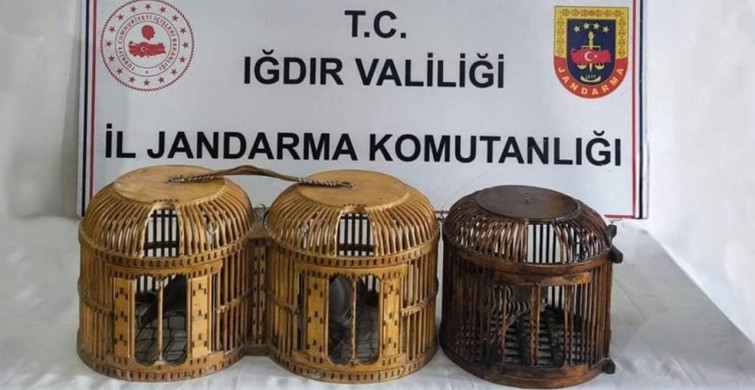 Iğdır'da Kaçak Keklik Avına Baskın: 72 Bin TL Ceza