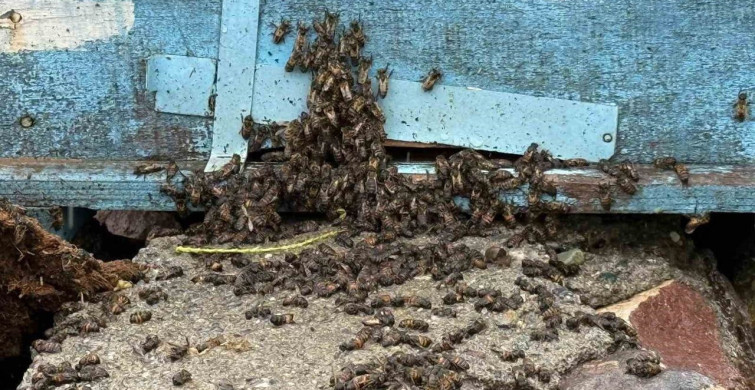 Iğdır'da Sağanak Yağışla Gelen Sel Felaketi