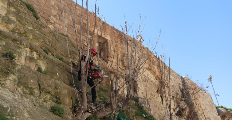 İHH'dan Halep Kalesi'nde Temizlik ve Düzenleme Faaliyetleri