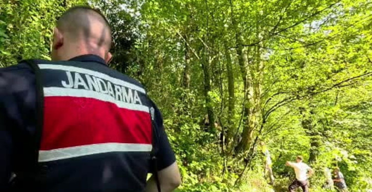 Ihlamur toplamak için çıktığı ağaçtan düşerek hayatını kaybetti