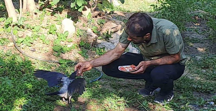 İhsan Cesur'un kargalarla kurduğu derin bağ