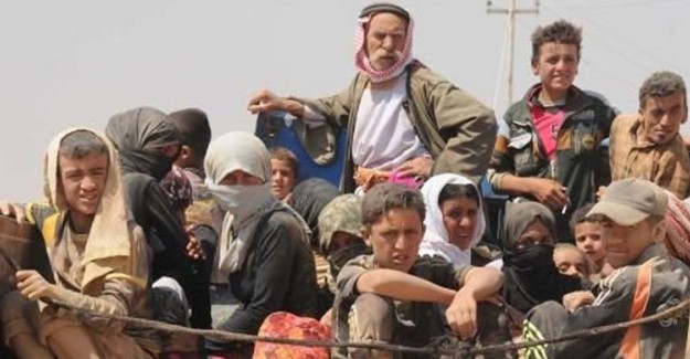 IKBY Hükumeti, 3 Ağustos'u Ezidi Soykırımı Günü Olarak Kabul Etti