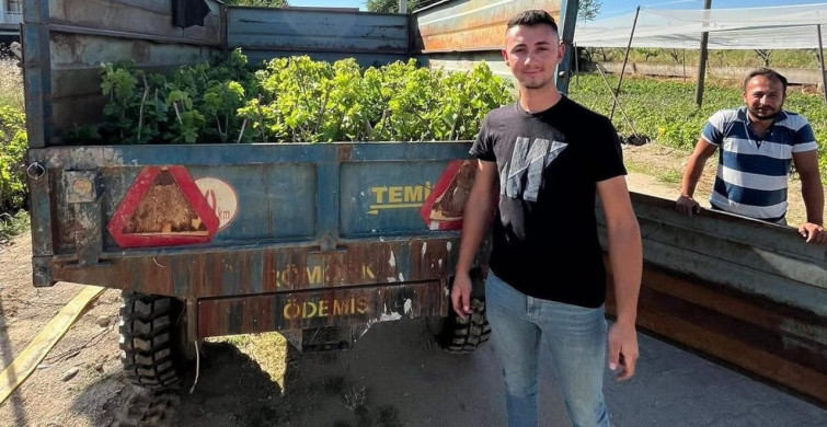 İki kardeşin üzüm fidanı üretimi, bölge ekonomisine büyük katkı sağlıyor