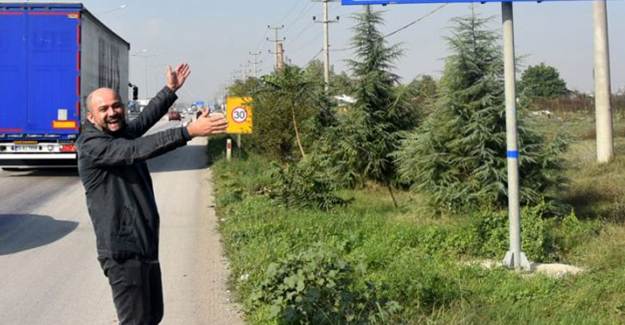 Tabelanın Nüfus Kısmının Boş Olduğunu Görenler Hayrete Düşüyor