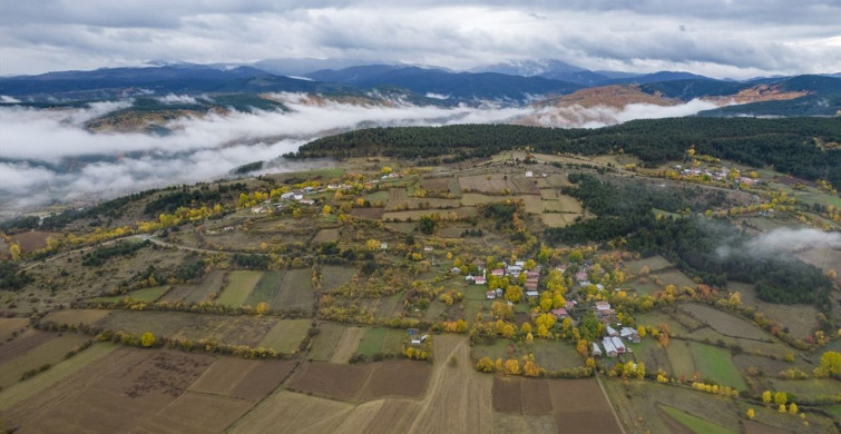 Ilgaz Dağı'nda Etkili Olan Sis Görüntülendi Ilgaz Dağı'nda Etkili Olan Sis Görüntülendi