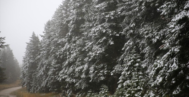 Ilgaz Dağı'nda Kar ve Sis Etkisi