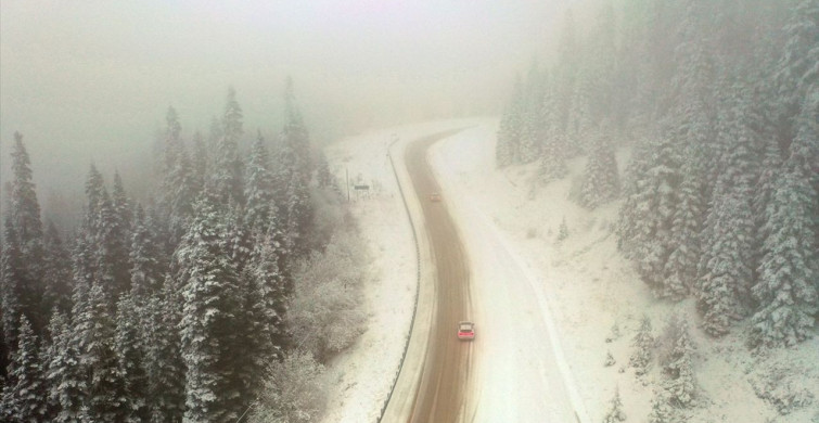 Ilgaz Dağı'nda Kar ve Sis Manzarası