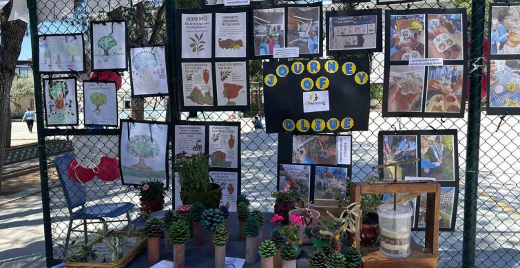 İlkokul öğrencileri zeytinin yolculuğunu sergiyle anlattı