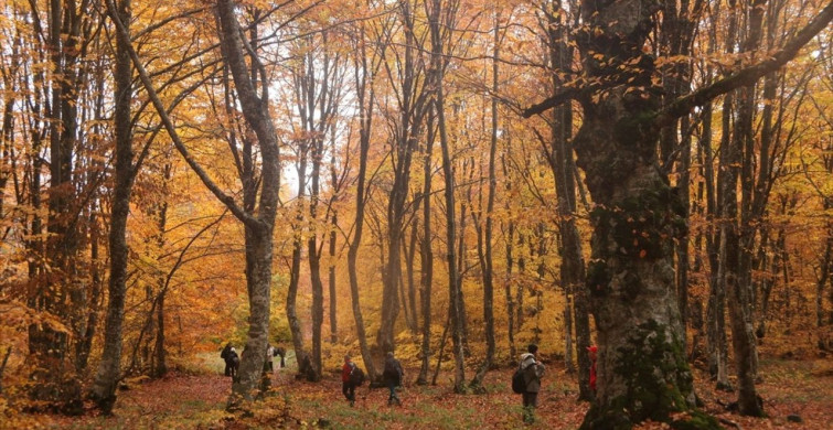 İnegöl Dağları Sonbaharın Renklerine Bürünüyor