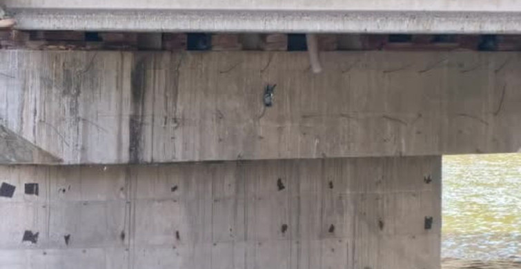 İnegöl'de köprü altında mahsur kalan güvercin itfaiye tarafından kurtarıldı