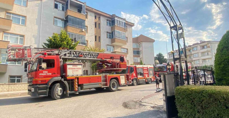 İnegöl'de yangında anne kedi ve 2 yavrusu hayata döndürüldü