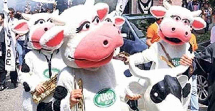 İnek bayramı nedir, neden kutlanır ? İnek bayramı ne zaman ortaya çıkmıştır?