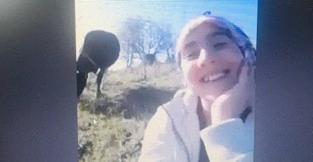 İnek Otlatırken EBA Canlı Derse Katılan Kıza, Bakan Selçuk’tan Övgü