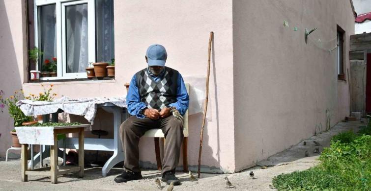 İrfan Aydın, kuşlara doğal sofralar kuruyor