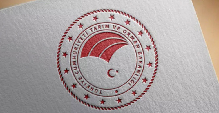 İş arayanlara müjdeli haber, Tarım ve Orman Bakanlığı duyurdu!