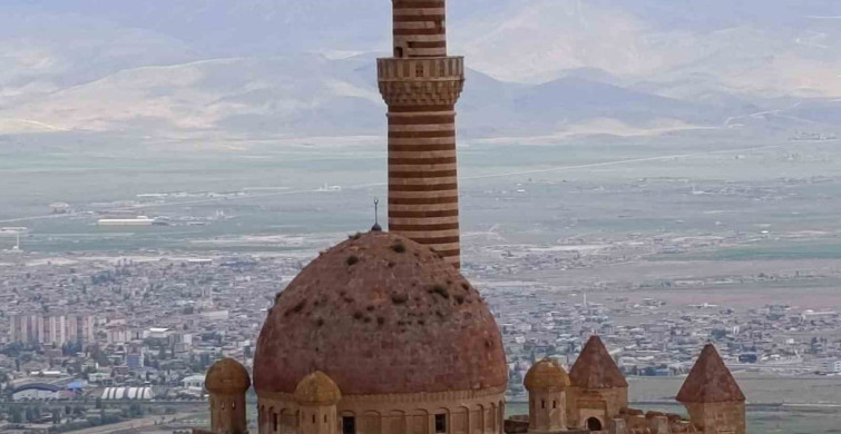 İshakpaşa Sarayı'ndaki Otlar Ziyaretçileri Endişelendiriyor