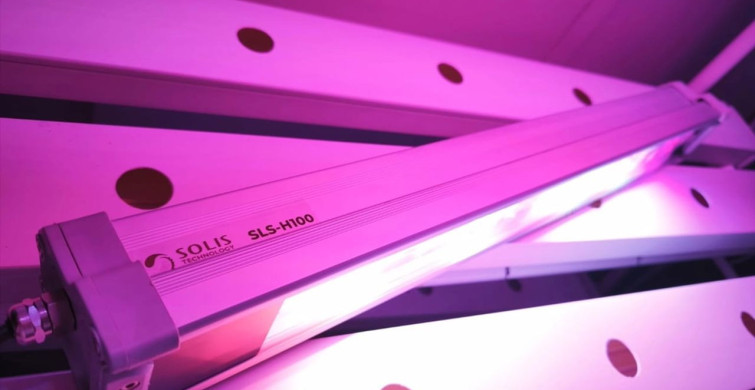 Işık Reçetesi ile Tarımda Devrim Yaratıyorlar