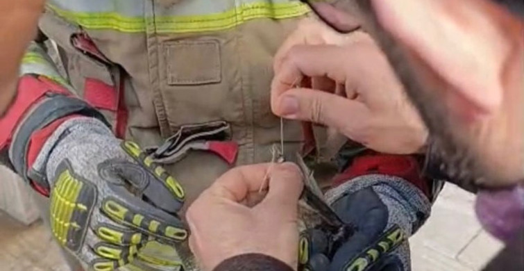 İskenderun'da İpe Dolanan Kuş Kurtarıldı