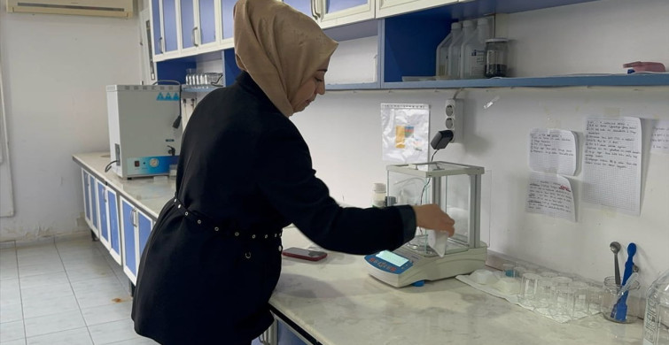 Isparta'da Ak Zambak Üretim Süresini Kısaltma Çalışmaları