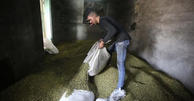 İsrail Filistin'in Tarım Ürünlerinin İhracatına Engel Oluyor