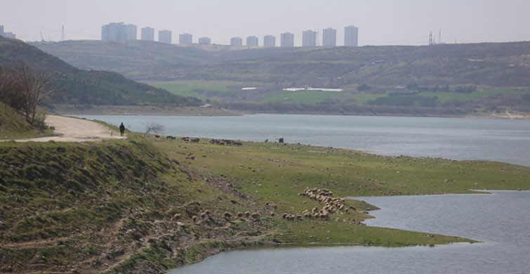 İstanbul’da Barajlar Yüzde 80 Seviyesine Ulaştı