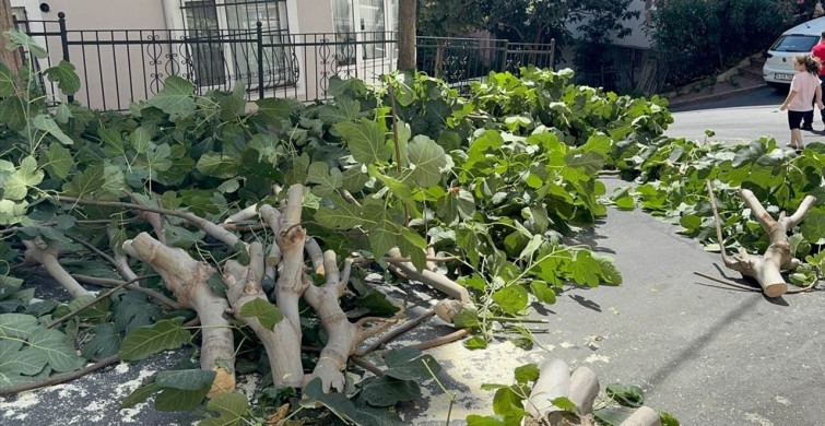 İstanbul'da Fırtına Hayatı Olumsuz Etkiliyor