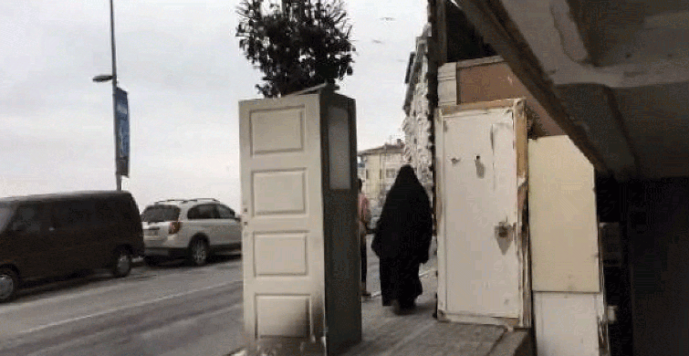 İstanbul'da İnşaat Hazırlığı Yapılan Binanın Önündeki Ağaca Kapılı Koruma