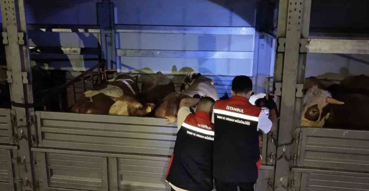 İstanbul'da Kurban Bayramı Denetimleri Başladı