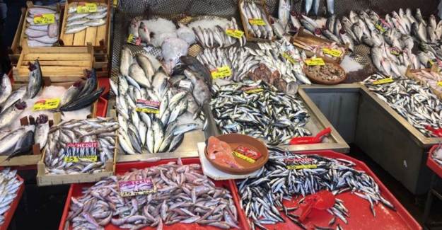 İstanbul'da ve Karadeniz'de Avlanma Yasağı