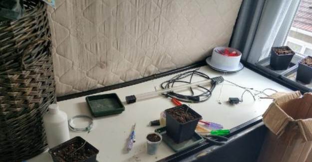 İstanbul'daki Operasyonda 248 Kişi Gözaltına Alındı
