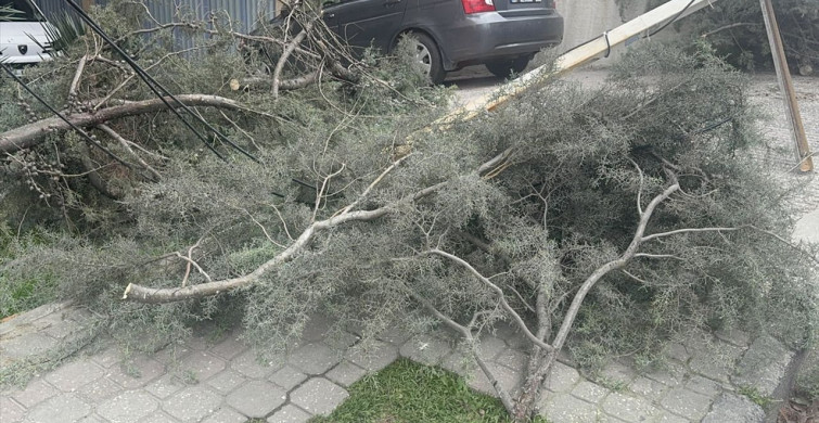 İstanbul'daki Şiddetli Lodos Hayatı Olumsuz Etkiliyor