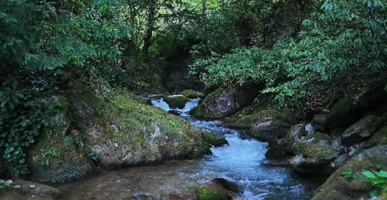 İstanbul’un Doğa Harikası: İnönü Yaylası ve Müflizdere Şelalesi