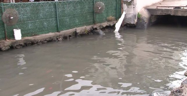İstanbul'un Göbeğinde Atık Su Problemi: Vatandaş Şikayetçi!