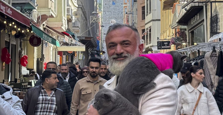 İstanbul'un Seyyah Kedisi Reis ve Yavusu Pera ile Macera Dolu Geziler