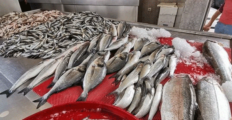 İstavritin Kilosu 15 Liradan Satılıyor