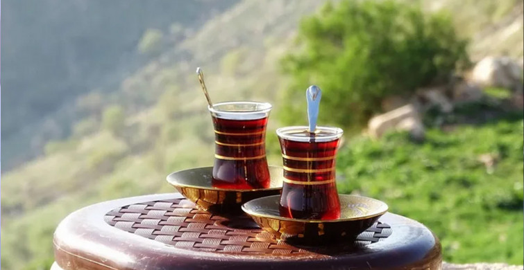 Bir daha çöpe dökmeyeceksiniz: Demlikte kalan çay öyle bir şeye iyi geliyor ki...