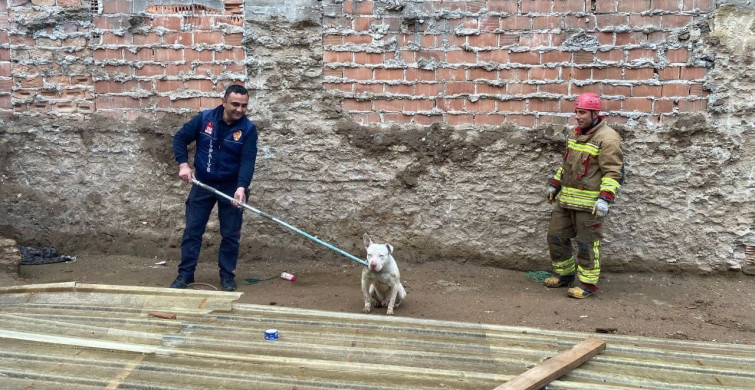 İtfaiye Ekipleri Kapalı Çukurda Sıkışan Köpeği Kurtardı