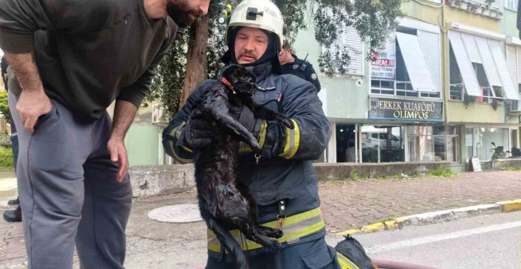 İtfaiye Eri, Yangında Dumandan Etkilenen Kediyi Kalp Masajı ile Kurtardı