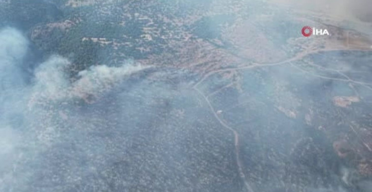 İzmir dikili ilçesindeki yangın kontrol altına alındı