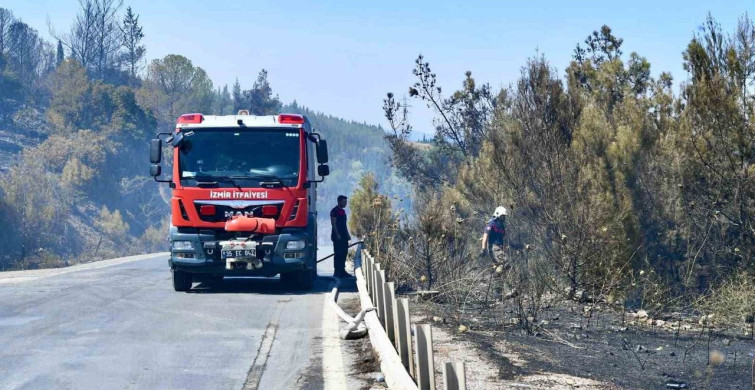 İzmir itfaiyesi bukalemunu hayata döndürdü
