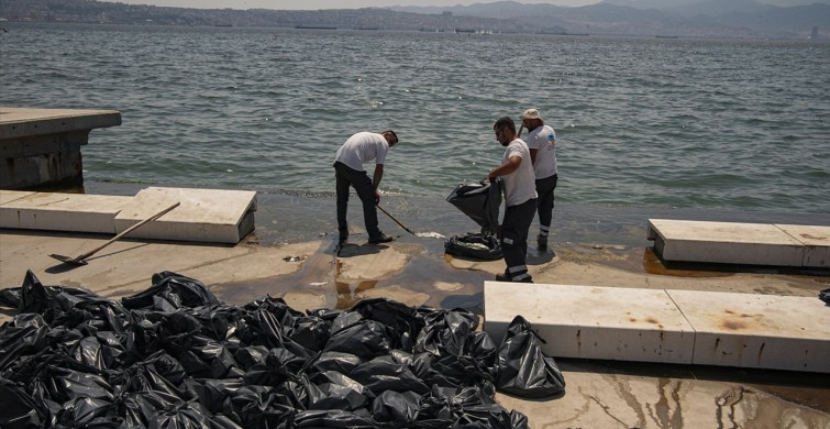 İzmir Körfezi'nde Balık Ölümleri Yeniden Başladı