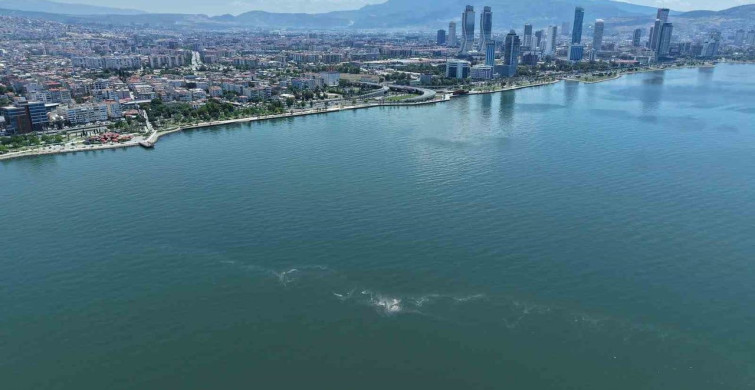 İzmir Körfezi'nde Dron ile Tespit Edilen Kirlilik Sorunu